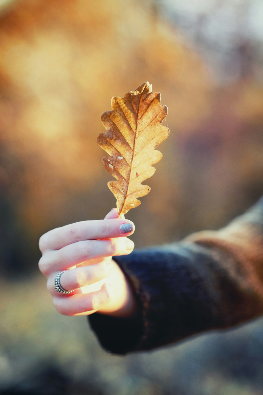 A collection of warm-toned gemstone jewelry including amber, garnet, and citrine pieces, styled for fall with cozy sweaters and autumnal accessories.